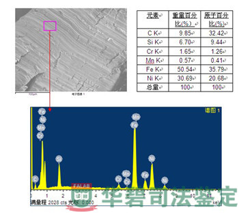 進(jìn)氣增壓器能譜圖
