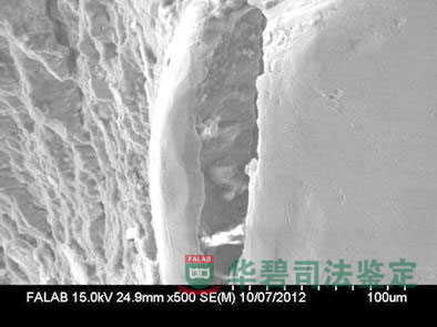 斷口掃描電子顯微鏡(SEM)觀察