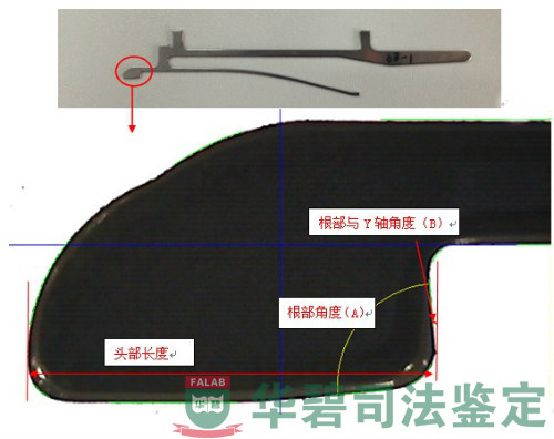 測量位置示意圖