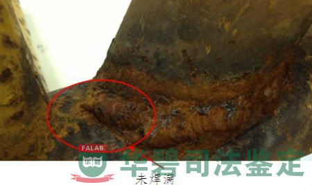 標(biāo)準(zhǔn)節(jié)檢材外部宏觀檢查