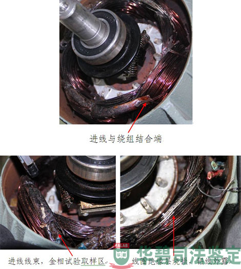 電動機內(nèi)線束檢查