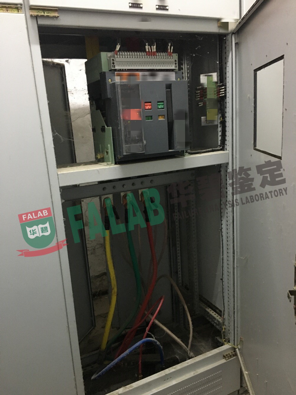1682409534797157.jpg