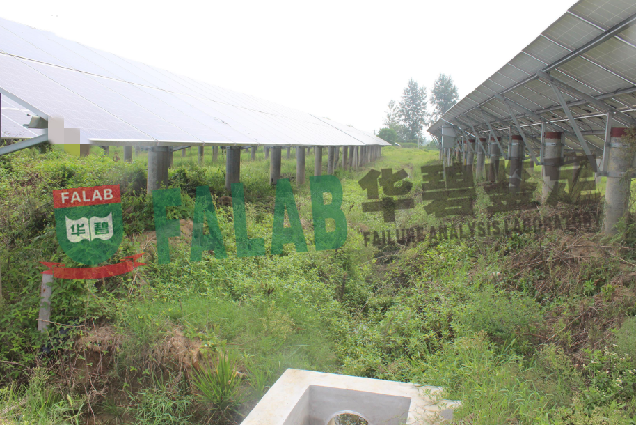 1683614302701243.png
